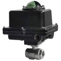 Dwyer 2-Piece NPT Stainless Steel Ball Valve, Series WE01